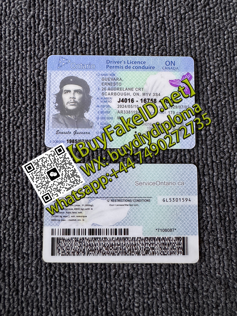 Ontario ID Driver's Licence