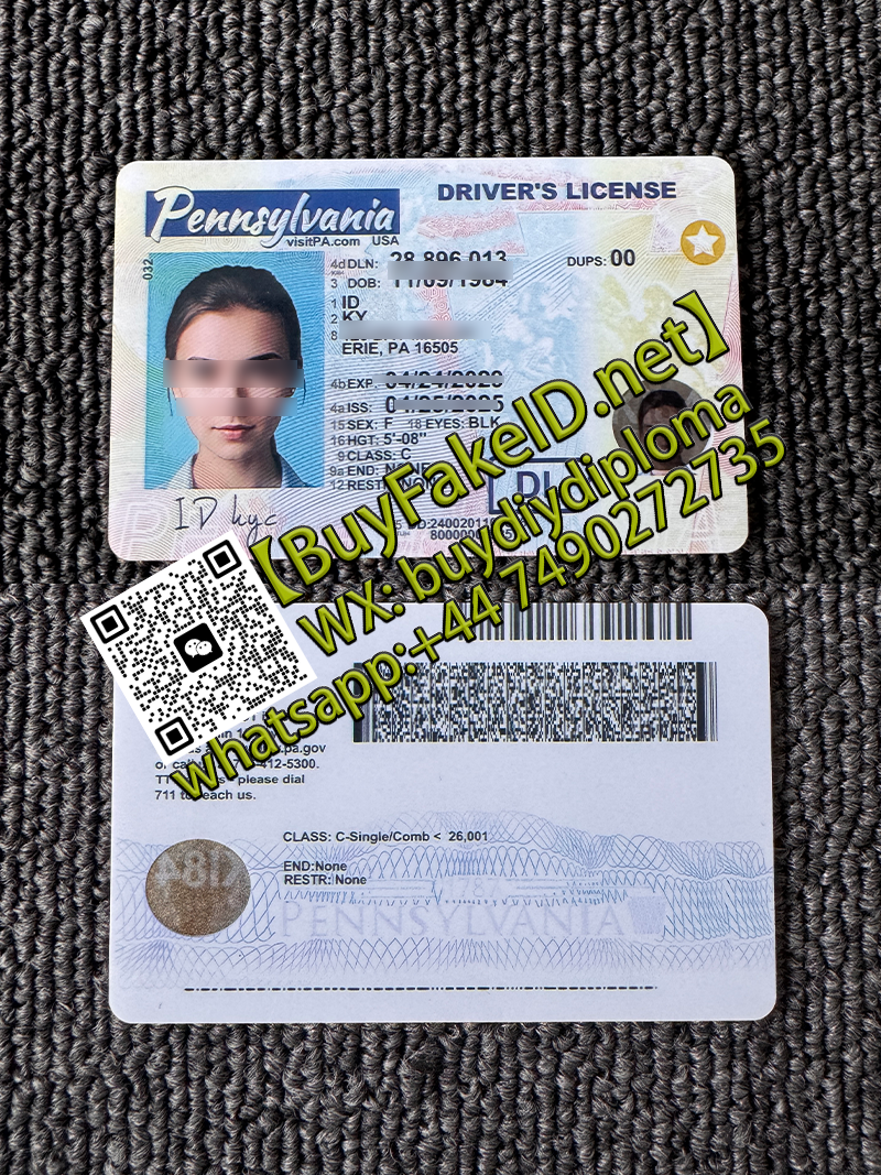 Pennsylvania ID Driving Licence