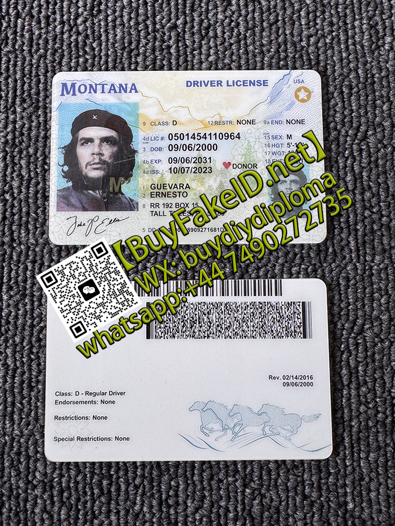 Montana ID Driver license