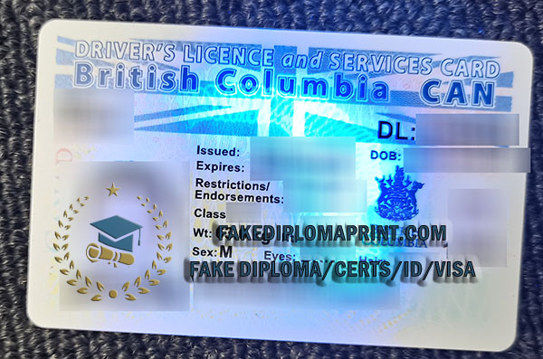British Columbia driver license