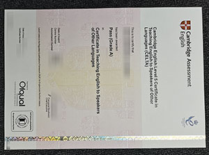 Cambridge level cert