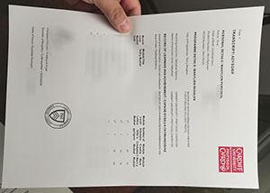 Cardiff University transcript fake