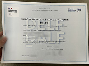 DELF cert