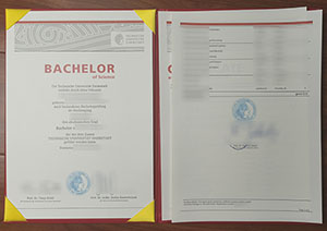 Dreamstadt diploma