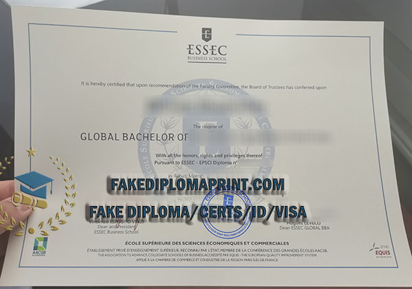ESSEC Business School degree