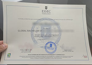 ESSEC Business School diploma