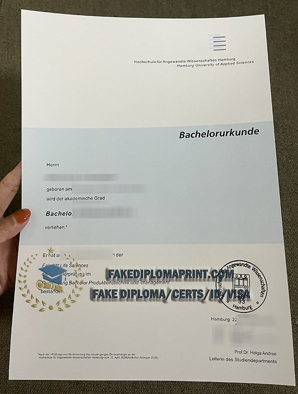 Hamburg University degree