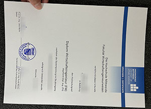 Hochschule Mmittweida degree