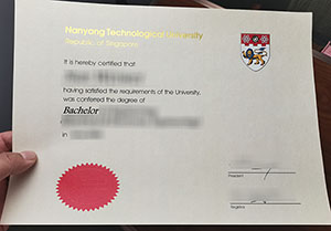 NTU Singapore diploma