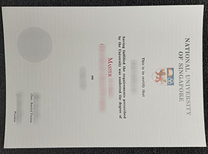 NUS fake diploma