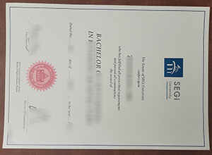 SEGI fake diploma