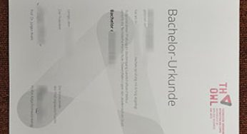 Copy THOWL diploma,phony THOWL bachelor urkunde