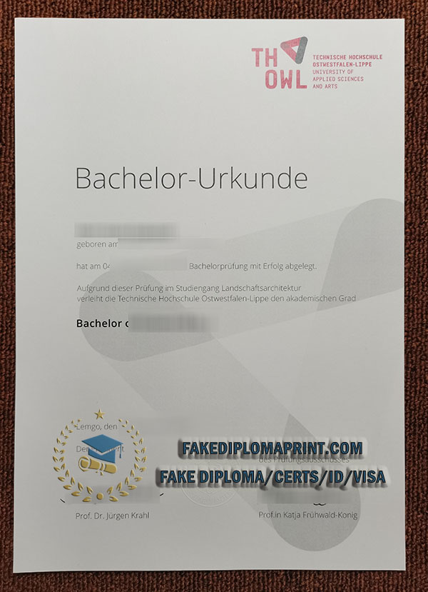 TH OWL diploma