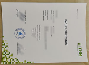 THM bachelor degree