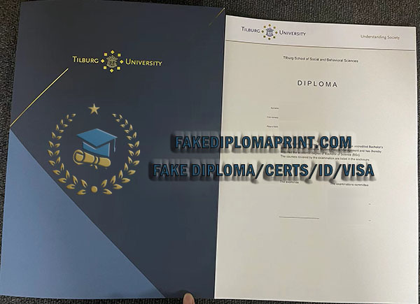 Tilburg University diploma