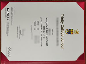 Trinity College London degree