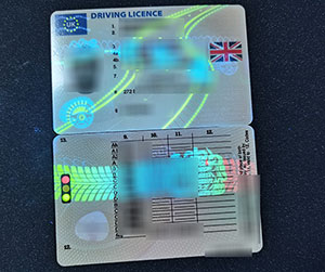 UK driver license