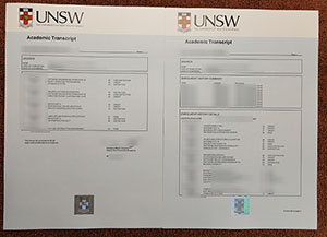 UNSW transcript
