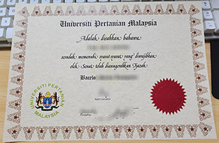 UPM diploma
