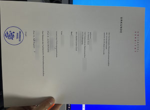 Unikassel diploma