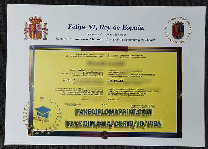University of Alicante degree