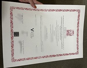 University of Campania Luigi Vanvitelli degree