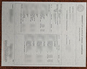 University of Illinois academic record