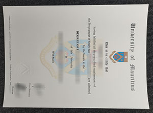 University of Mauritius diploma