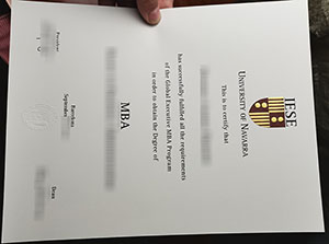 University of Navarra diploma
