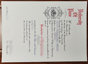 University of Pune degree