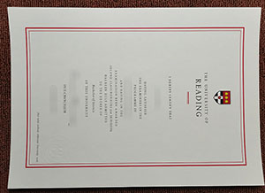 University of Reading degree