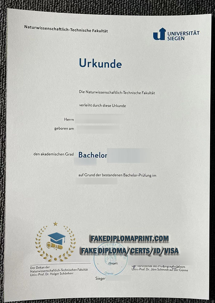 University of Siegen degree