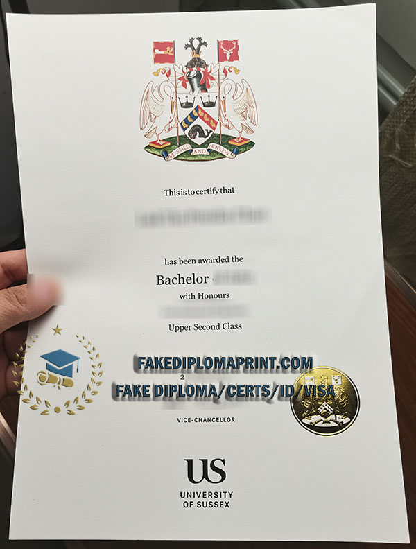 University of Sussex degree