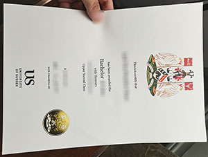 University of Sussex diploma