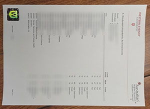 WSU transcript