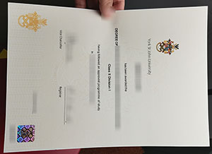 York St John University diploma