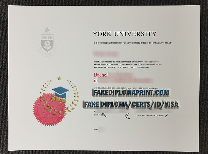 York University degree