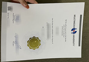 Multimedia University degree