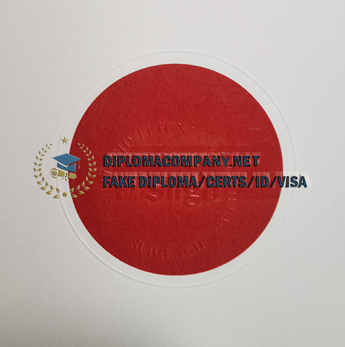 IT Sligo Diploma seal