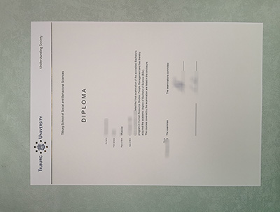 Tilburg University diploma