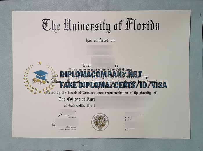 University of Florida Diploma