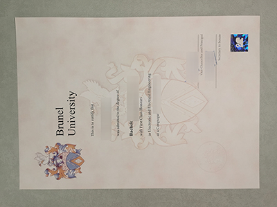 Brunel University degree