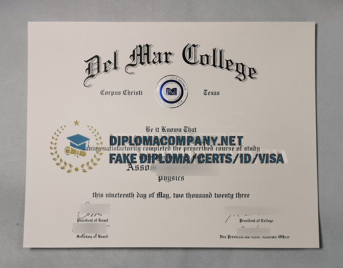 DMC Diploma