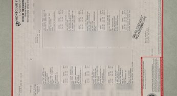 The Unusual Method to Buy a Fake MSU Transcript