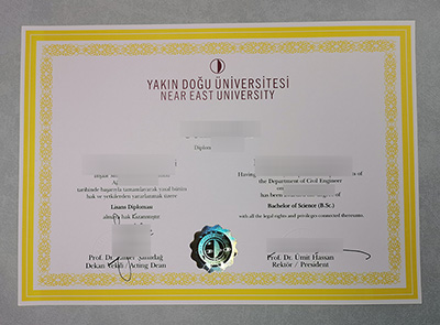 Fake NEU Diploma