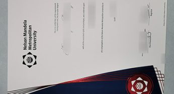 The Fool-proof Way to Buy a Fake Nelson Mandela University Degree