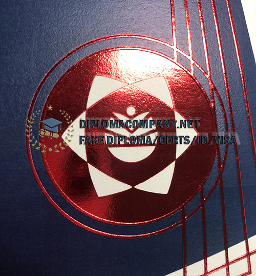 Nelson Mandela University seal