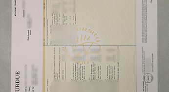 The best website to Buy a Fake Purdue Transcript