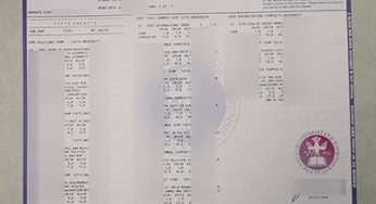 The Sensible Tips to Buy a Fake Tufts University Transcript
