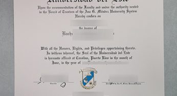 How to Buy Fake Universidad del Este (UNE) Diploma